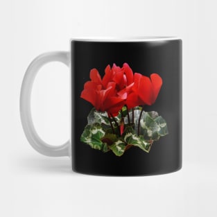 Cyclamen - Bright Red Cyclamen Mug